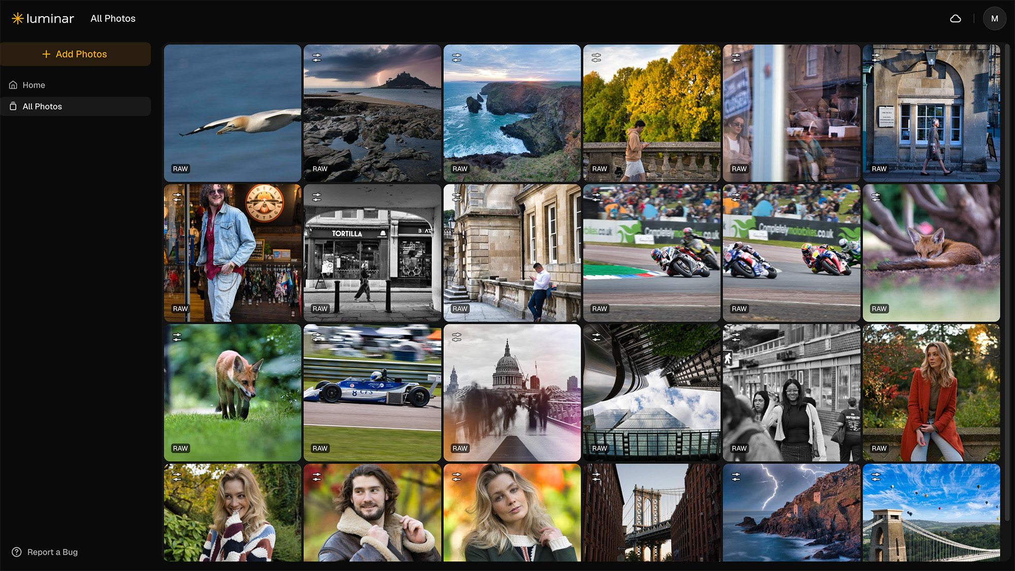 Screenshot from Luminar for Web, showing RAW image collection