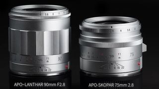 Voigtlander Apo Lanthar 90mm f4 close focus