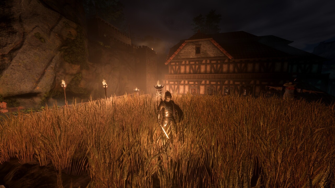 Casa del jugador con trigo cultivado en Enshrouded