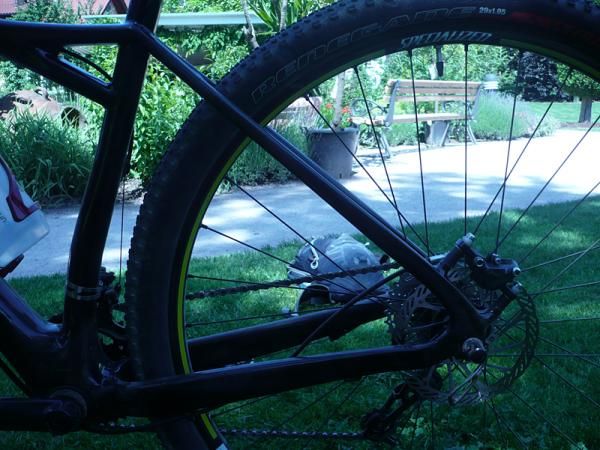 A look at the rear triangle of the Specialized Fate.