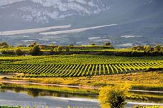 rioja.laguardia_3.jpg
