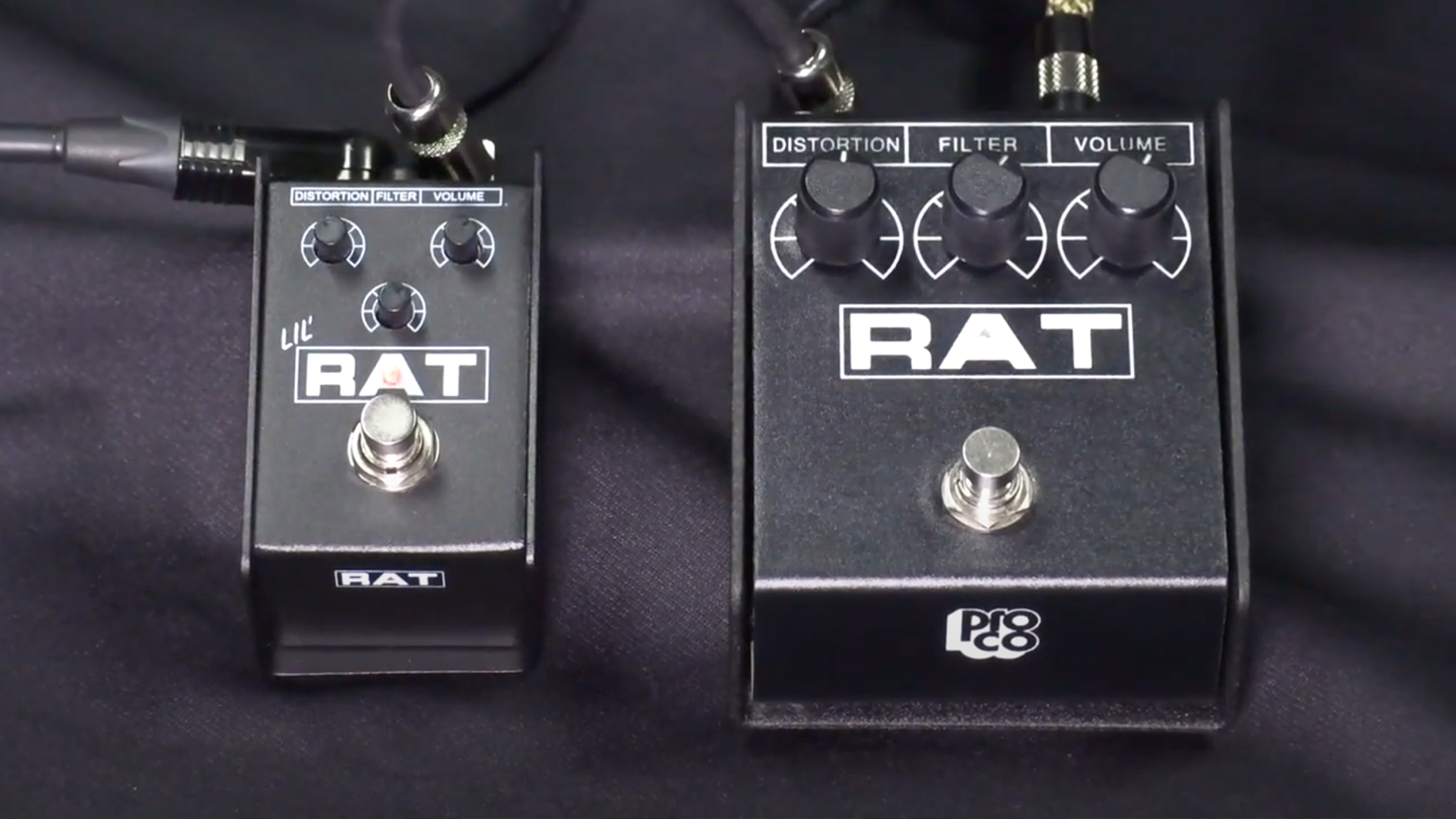 ProCo to Announce The Lil' Rat, A Mini Iteration of the Acclaimed 