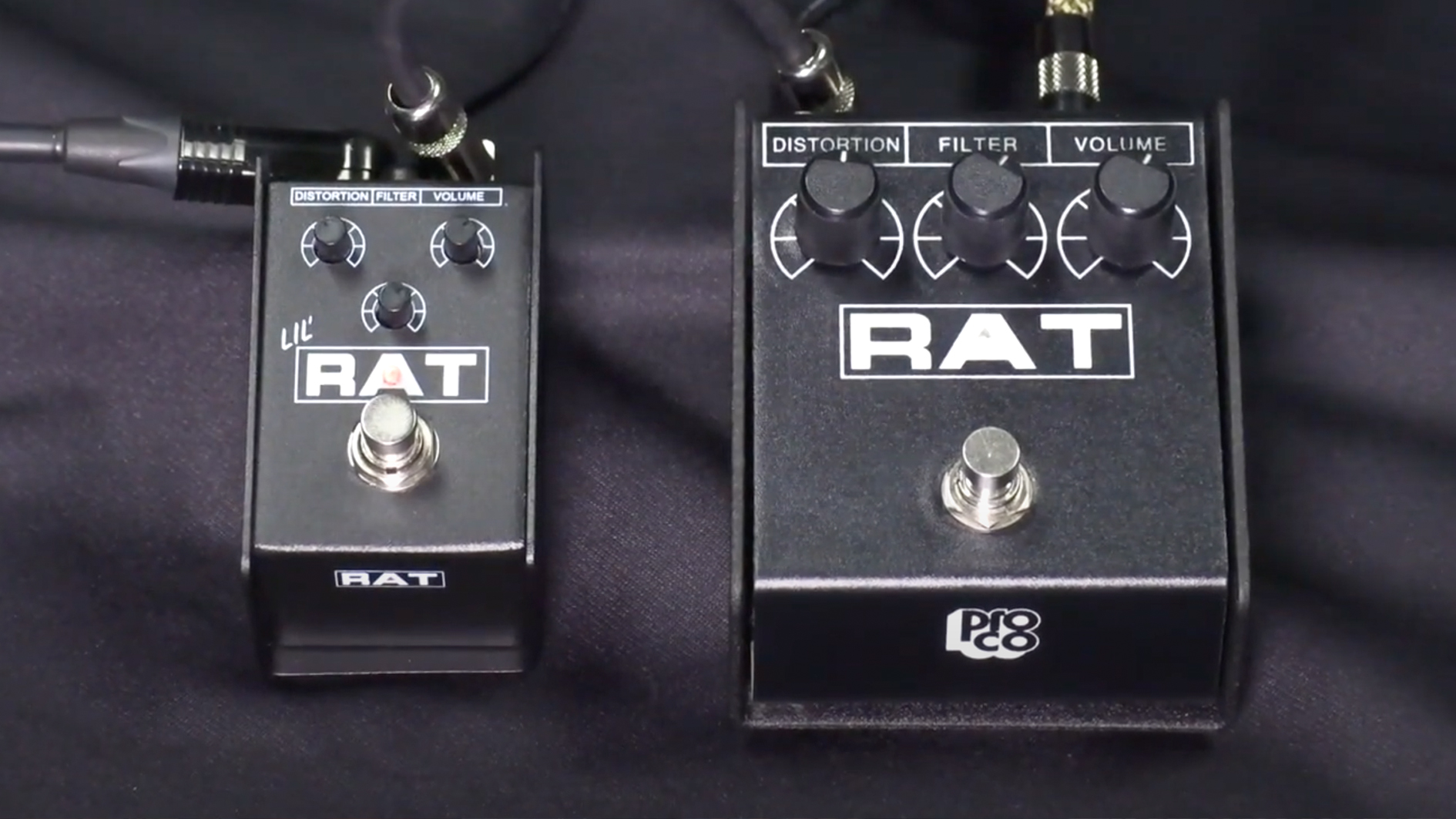 ProCo to Announce The Lil' Rat, A Mini Iteration of the