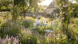 meadow lawn with plant, grasses and bistro dining set in middle