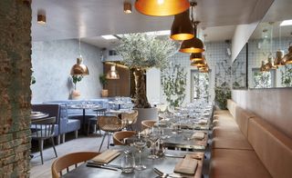 Bandol restaurant with peach banquette seating, low hanging pendant copper shades and olive tree in pot