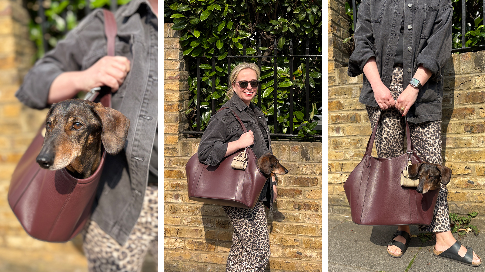 Antonia Kraskowski carrying a dachshund in the Mulberry dog carrier handbag