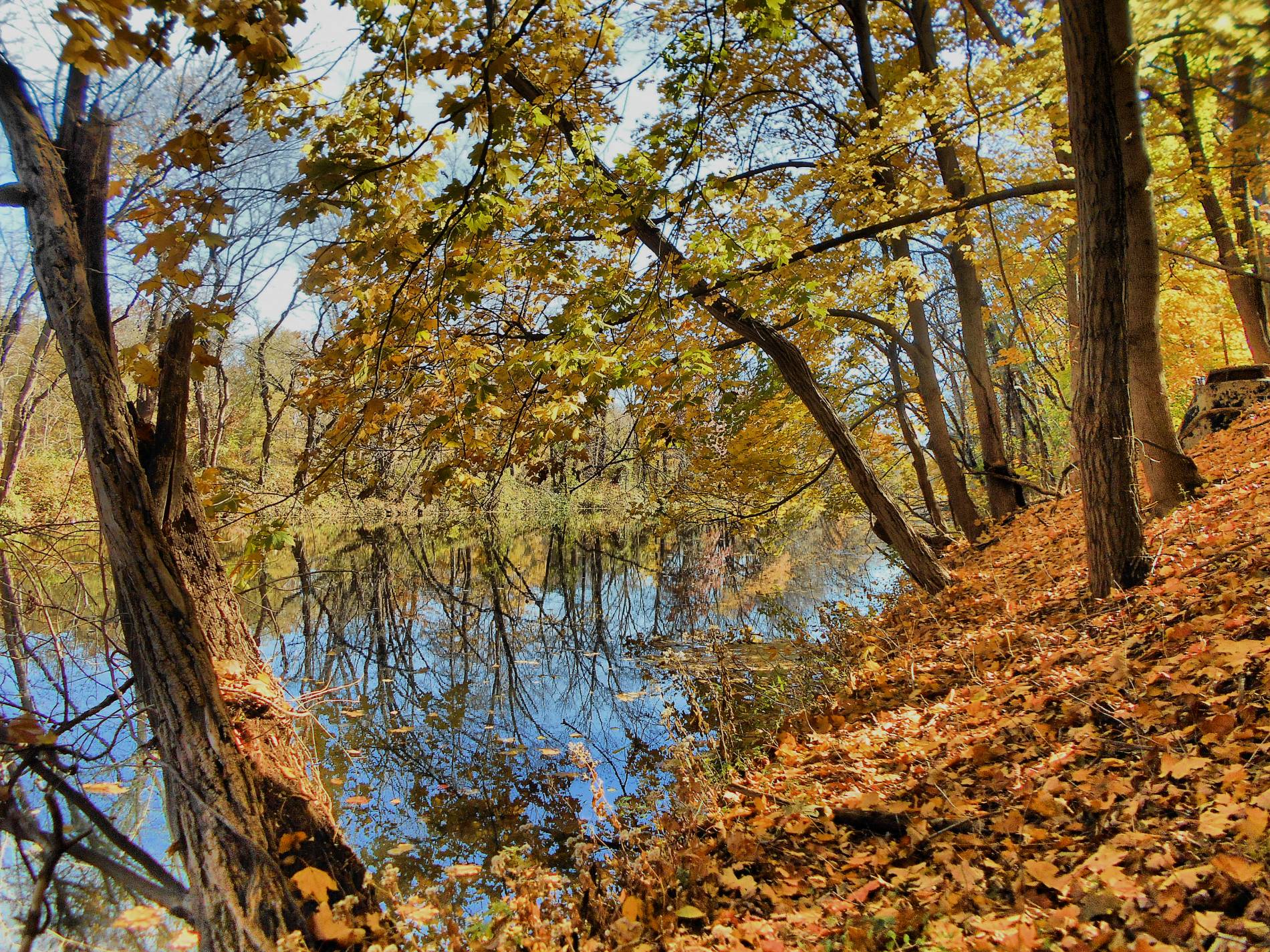 GuruShots - Nature March 2026