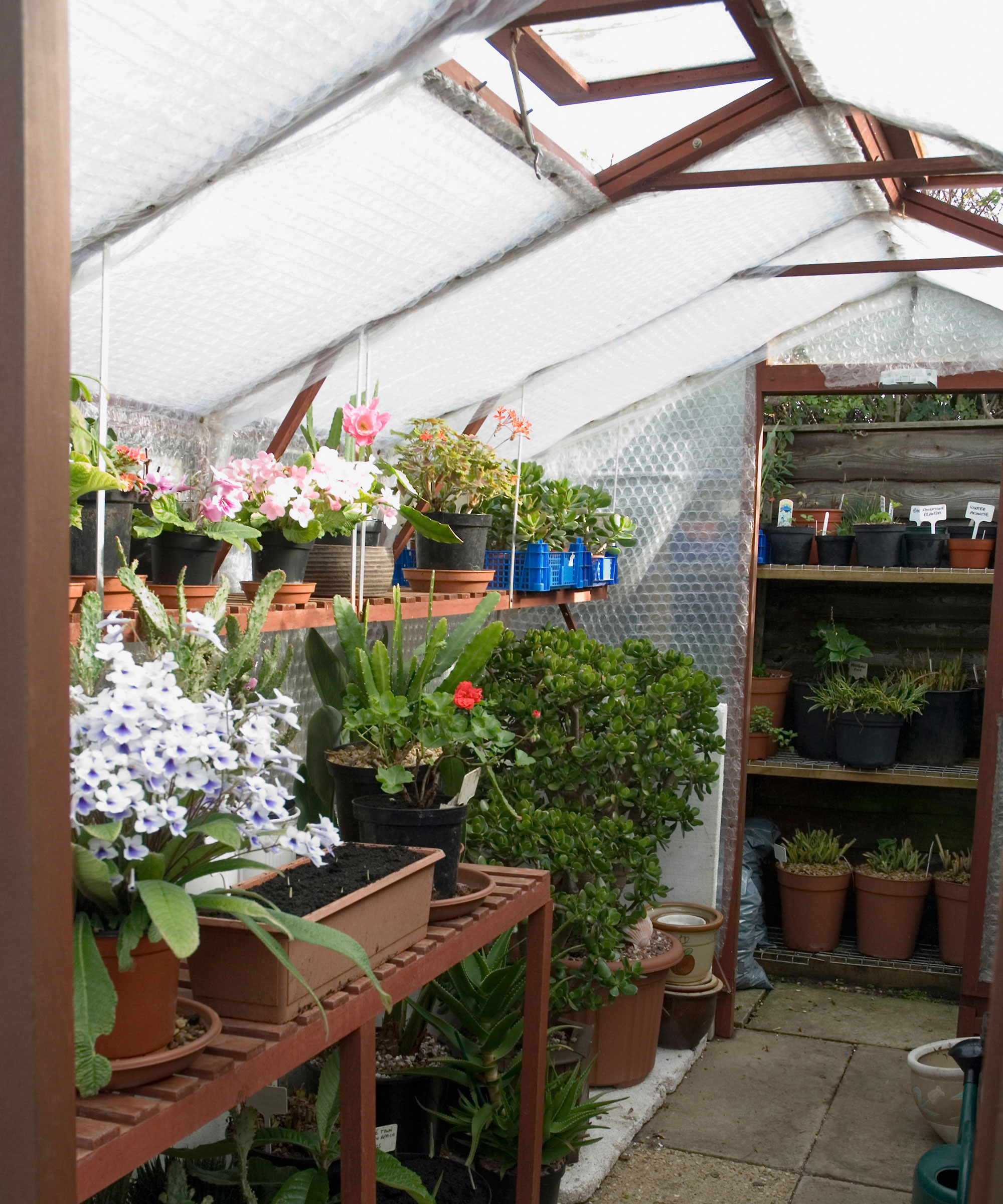 Will A Greenhouse Keep Plants Warm In Winter