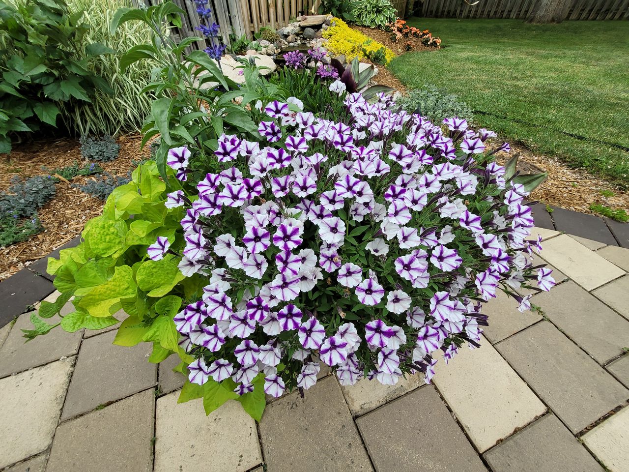 Samsung Galaxy Z Fold 2 camera samples
