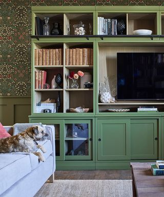 Living room with green media and book storage