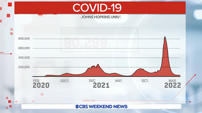 COVID-19 cases
