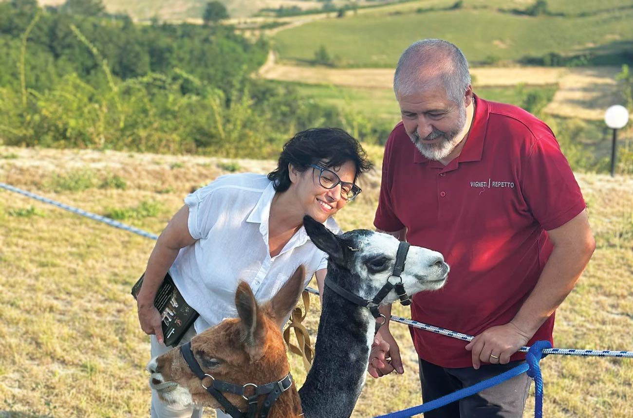 Marina and Gian Paolo Repetto, with llamas