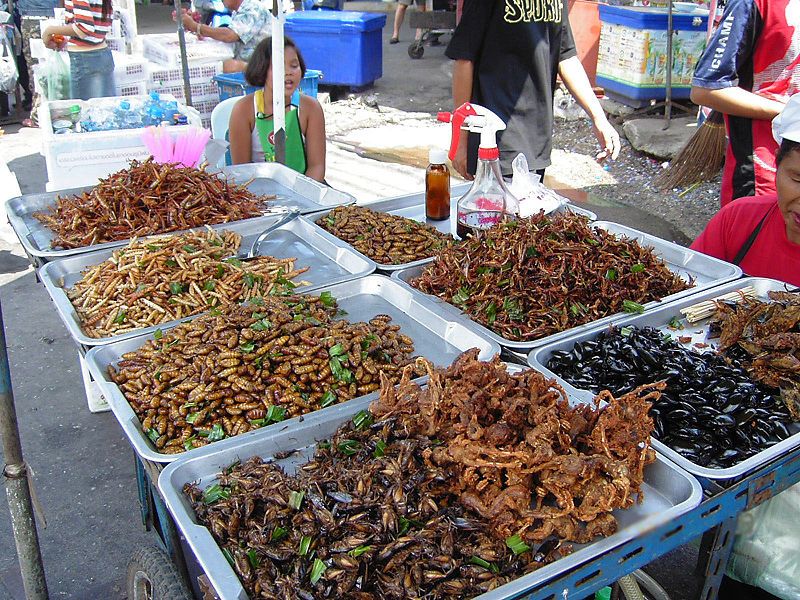 Deep-fried insects for sale at a food stall in Bangkok, Thailand. Credit: Takoradee | Creative Commons