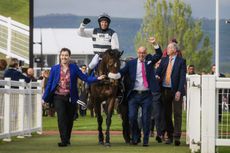 Willberry_Wonder_Pony_Cheltenham-646_original-e1516209361553.jpeg