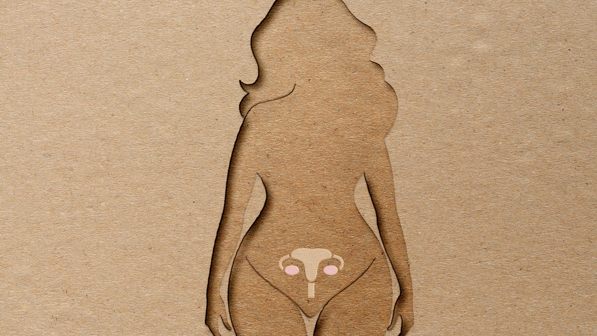 Female body paper cut out with uterus 
