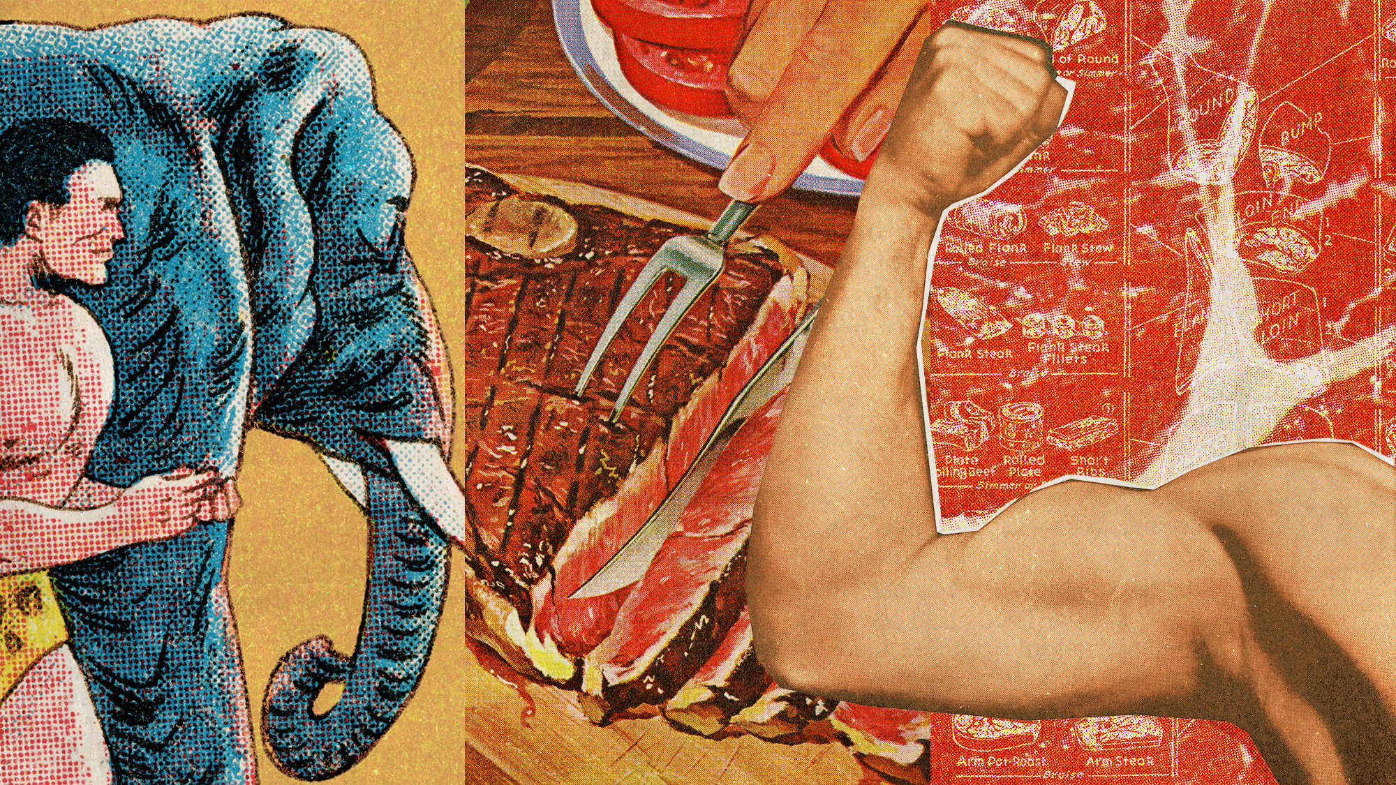 Illustrative collage of a muscular man next to an elephant, a hand slicing a steak, close-up of meat texture and a flexed arm