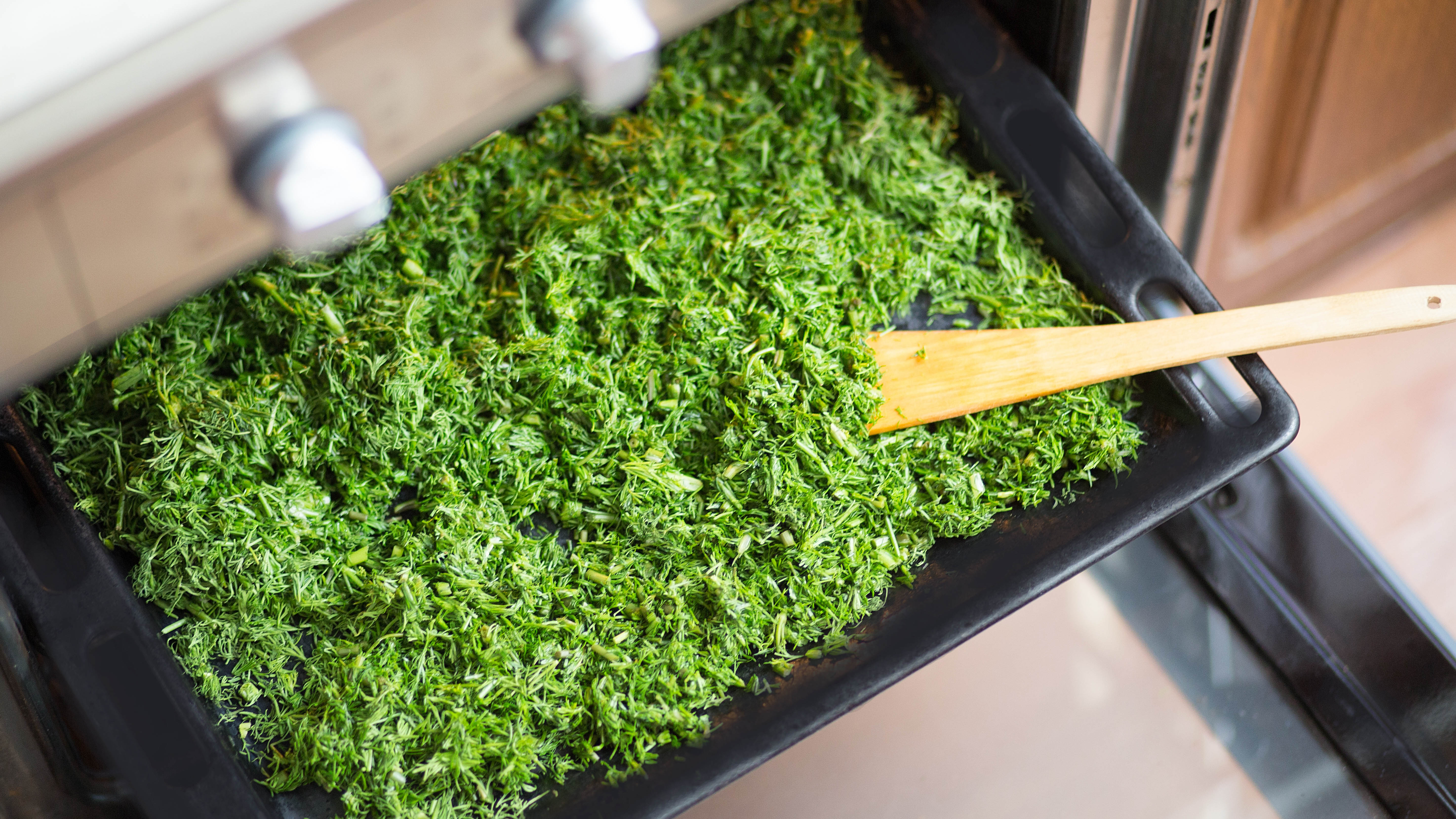 Drying fennel in oven