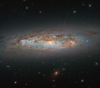 Scientists used images captured by the Hubble Space Telescope's Wide Field Camera 3 to piece together this portrait of a galaxy called NGC 3175.