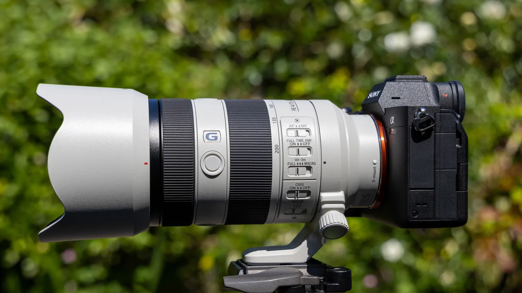 Close-up of a Sony camera with a white telephoto lens and lens (FE 70-200mm f/4) hood, set against a blurred green background