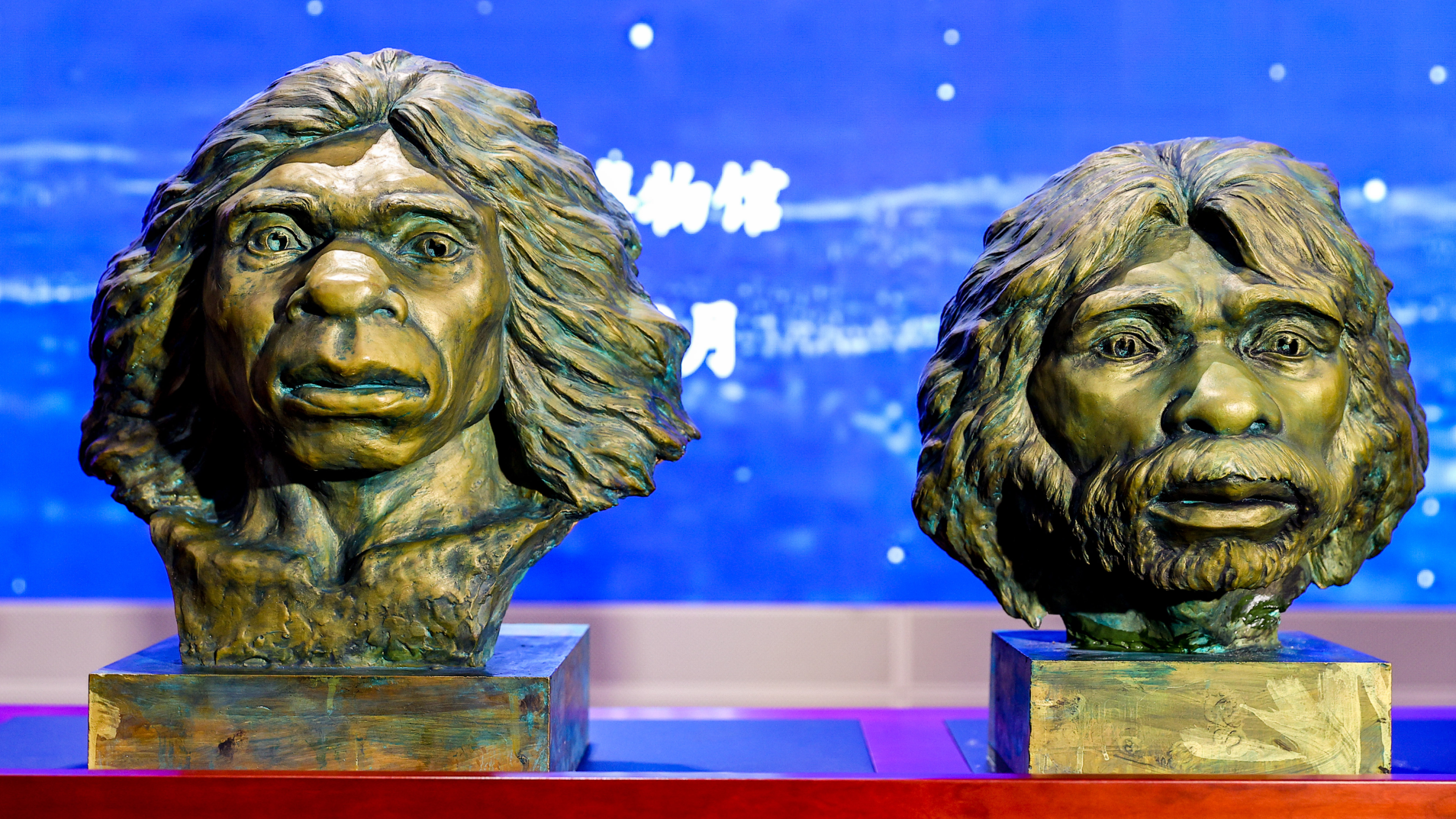 two reconstructions of ancient humans