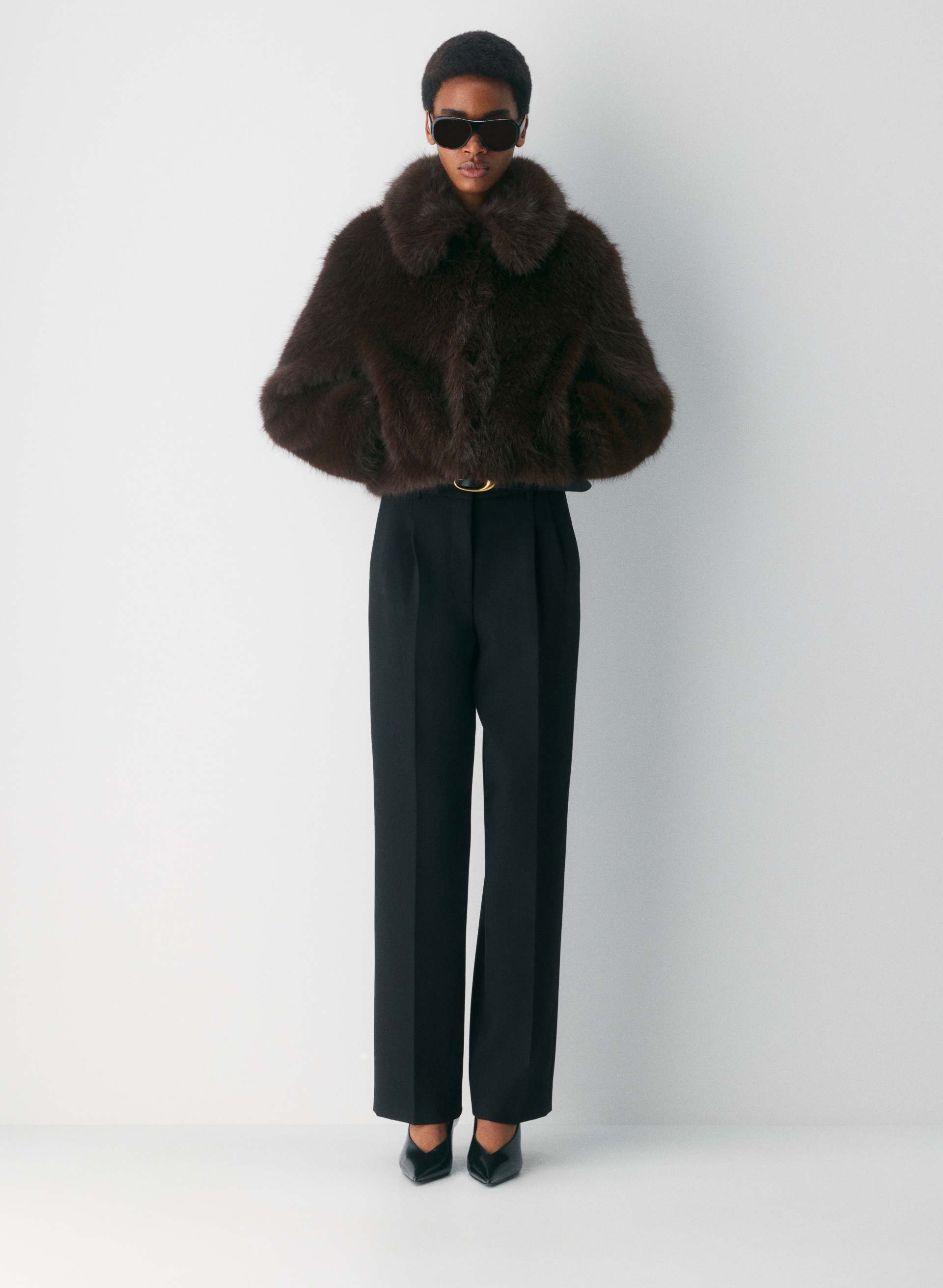 aritzia, 