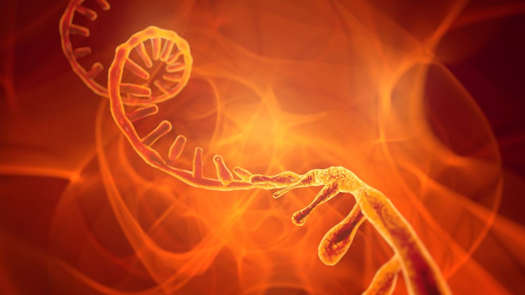 Artist&#039;s interpretation of a strand of RNA. 