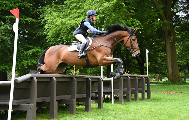 Young event horses to watch Rosalind Canter Rehy Royal Diamond