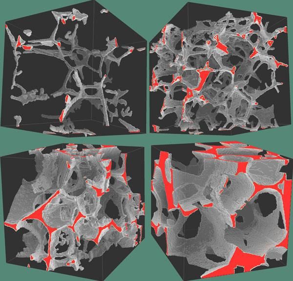 3-D Images Reveal How Earth's Crust Forms | Live Science