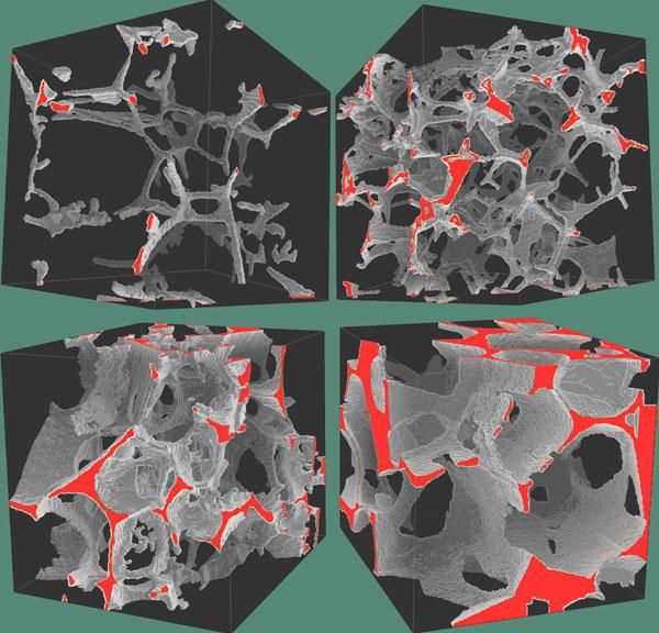 Visualizations of microtomographic data sets from partially molten mantle rocks. 