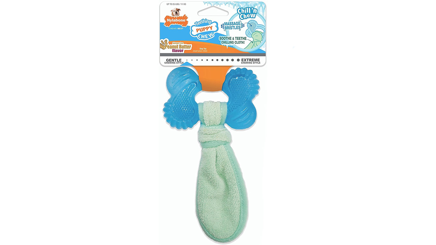 Nylabone Teething Chill &amp;amp; Chew