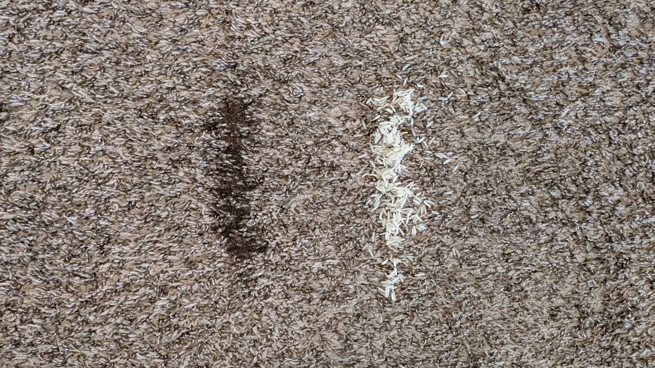 Ecovacs Deebot X11 Omnicyclone