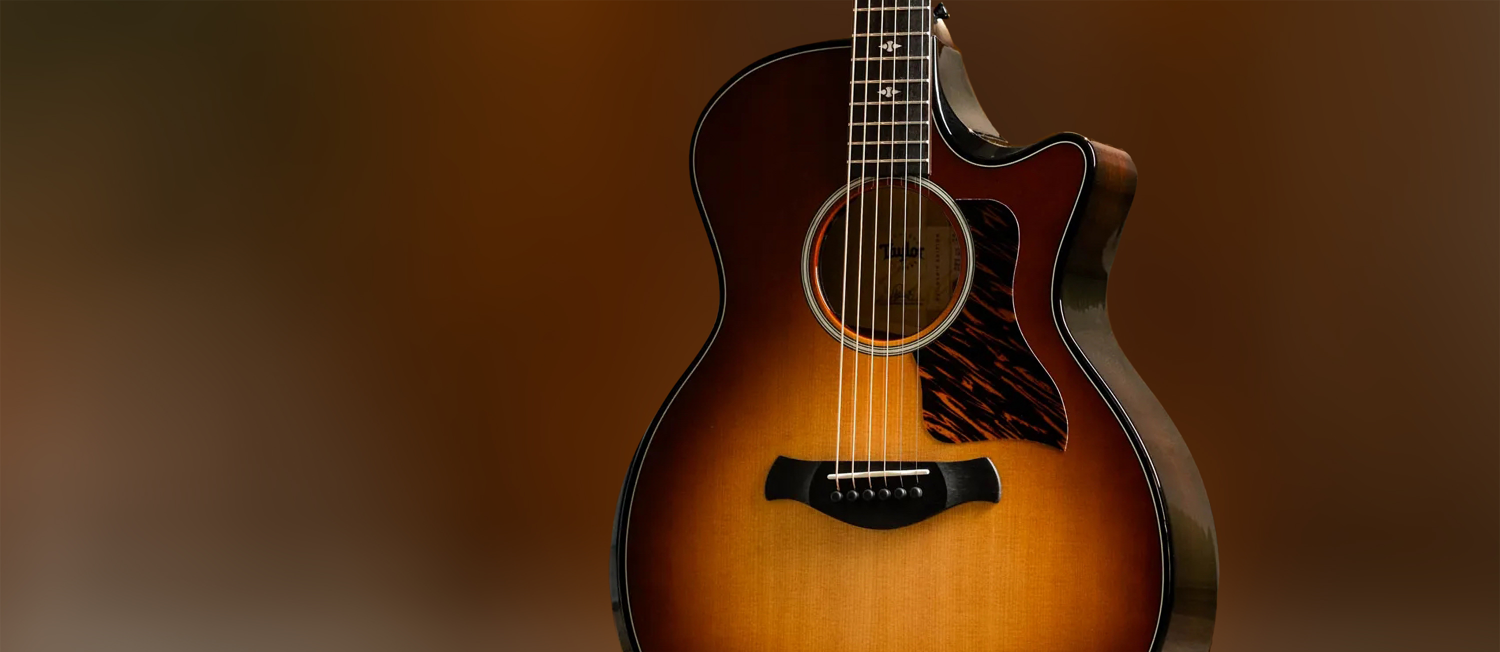 A photo showing a detail of the Taylor Next Generation 514ce Builder&rsquo;s Edition in Kona Burst