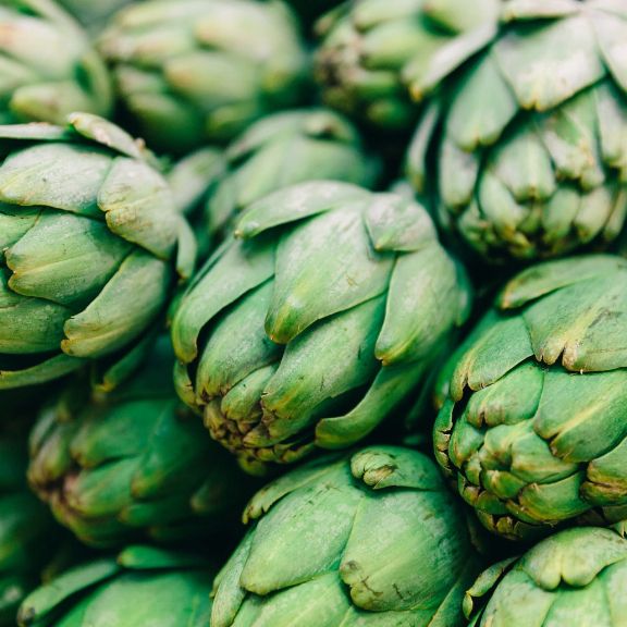 Artichoke Plant History Origin Of Artichokes In Cooking And Gardening