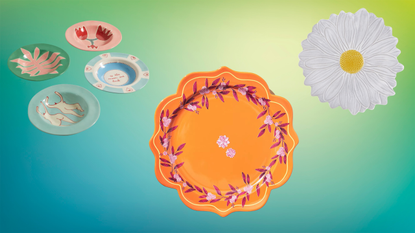 six different statement plates set on a colorful background