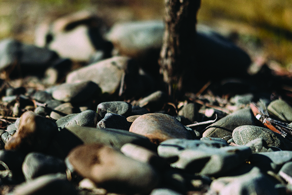 The-distinctively-pebbly-ground-of-Gimblett-Gravels-Wine-Growing-District.-Credit-GGWA.jpg
