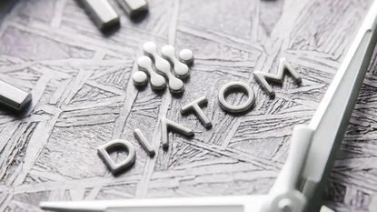 Diatom Watches Terra Meteorite