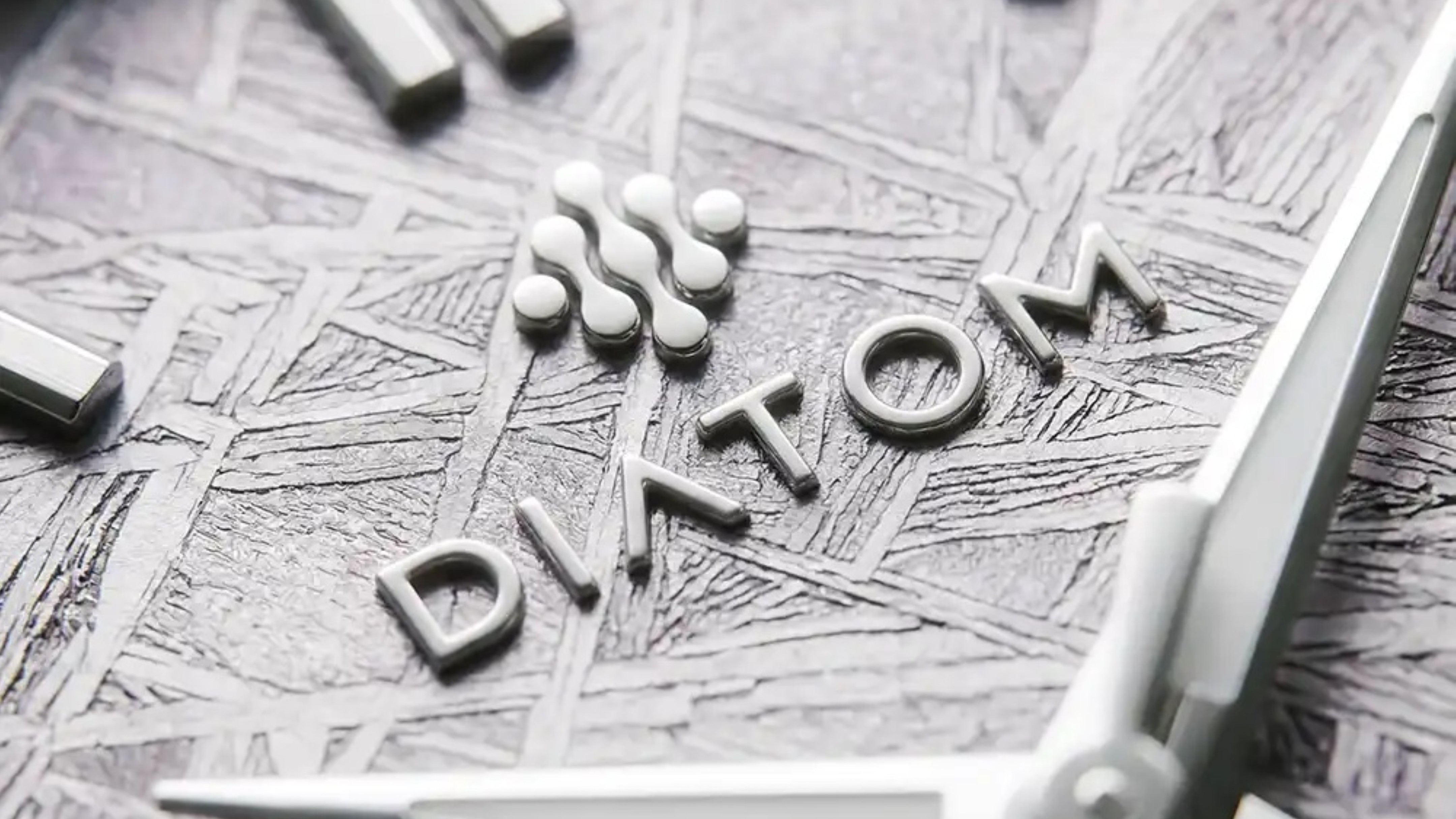 Diatom Watches Terra Meteorite