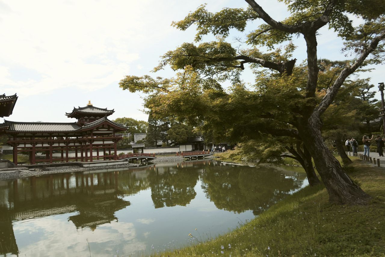 Sample image taken with the Panasonic Lumix L10; Japanese temple reflected in a lake, framed by a tree