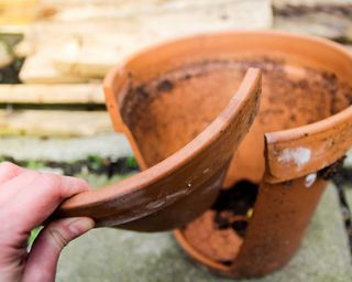broken terracotta pot