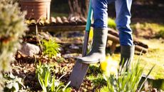 A person digging in a green garden border during spring