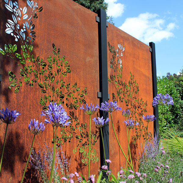 a corten steel garden screen with agapanthus