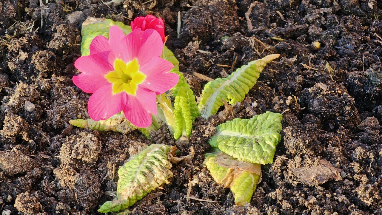 Samsung Galaxy S23 Ultra review camera sample