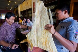 The WCS Wildlife Crimes Unit and Indonesian police bust Chinese traders with endangered whale shark fins, critically endangered sawfish and 15 kilograms of sea turtle meat.