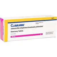 Clavamox chewable tablets | Chewy