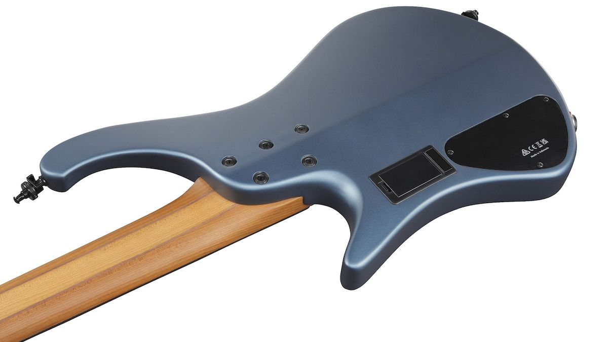 EHB1005F Fretless With Blue Richlite Fingerboard