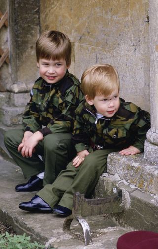 Prince Harry and Prince William at Highgrove House on July 18, 1986.