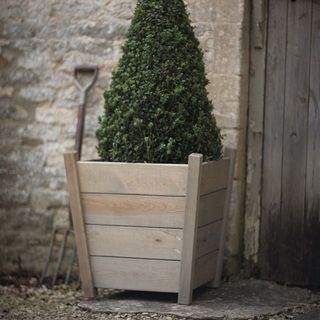 Wooden planter with small green tree next to wooden door in front of stone wall