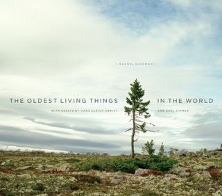 The cover for "The Oldest Living Things in the World" by Rachel Sussman