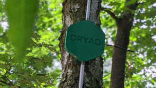 A Silvanet sensor hanging on a tree