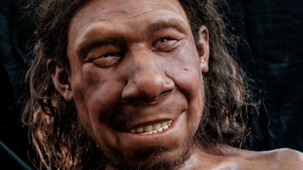 Lumpy Tumor Shown On Facial Reconstruction Of Neanderthal Who Lived On 